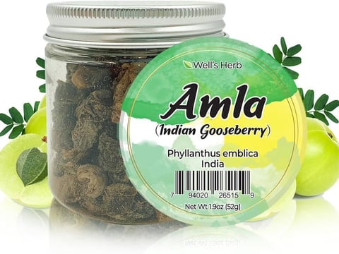 alma indian gooseberry