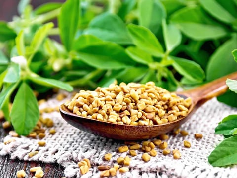fenugreek seed