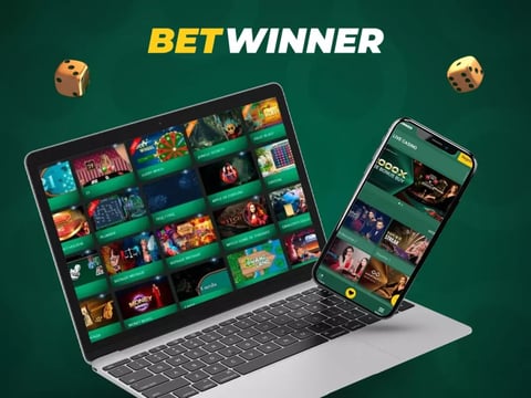 betwinner casino argentina