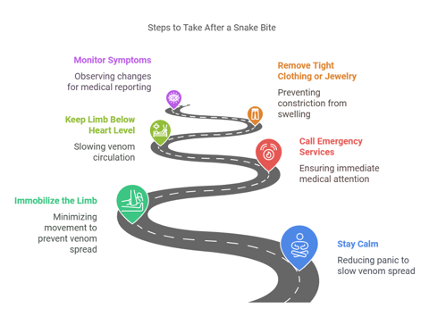 an infographic about snake bites