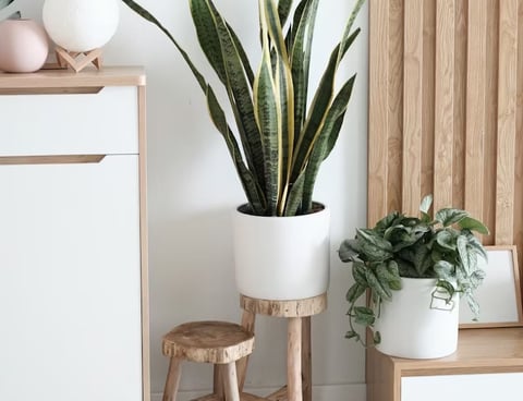 Commode blanche et bois avec une plante dans un pot et revêtement mural fait en lattes de bois
