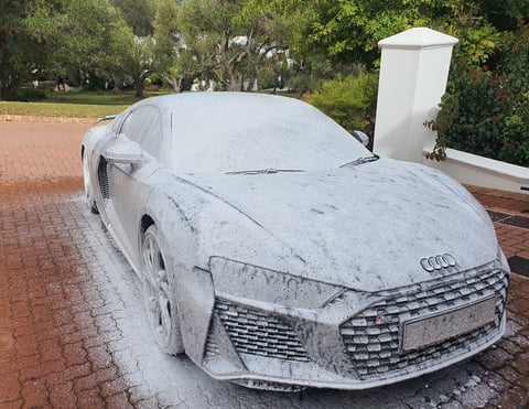 Exterior Detailing Image “Professional mobile car detailing service washing and waxing"