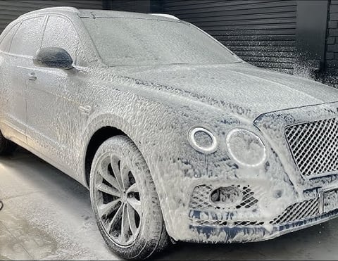 Exterior Detailing Image “Professional mobile car detailing service washing and waxing"