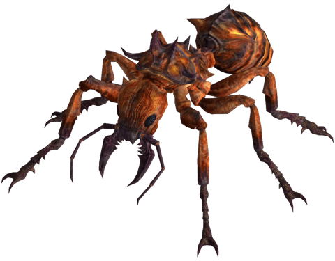 Irradiated Giant Ant