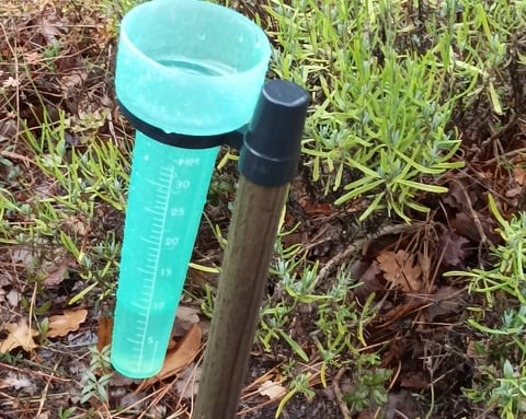 Rain gauge