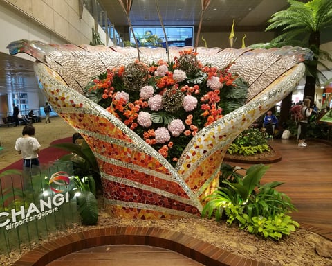 One of the many sights at Changi Airport in Singapore