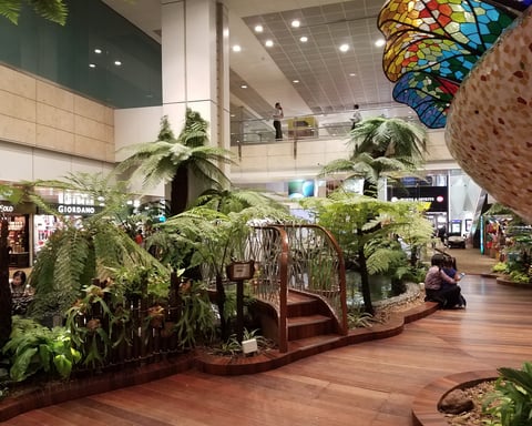 Inside Changi Airport in Singapore