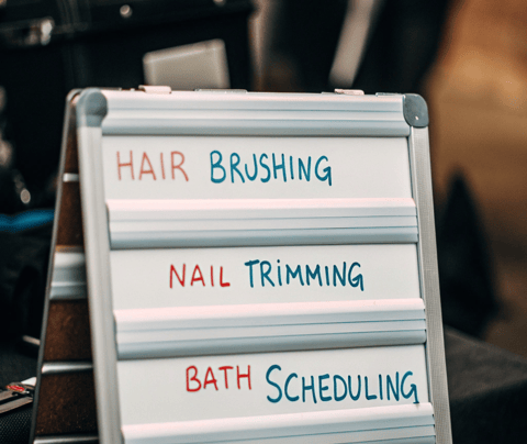 A checklist for regular cat grooming, including eye and ear cleaning.