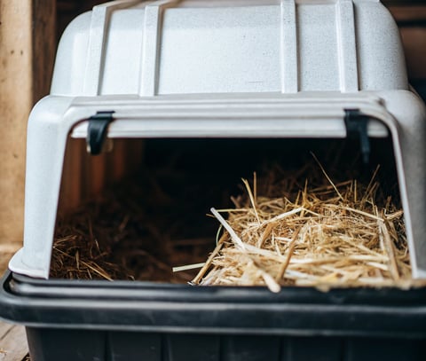 A simple DIY feral cat shelter made from a plastic bin with an insulated interior