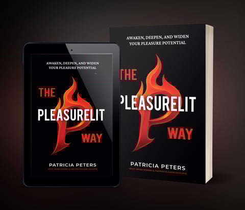 The Pleasurelit Way Book Cover