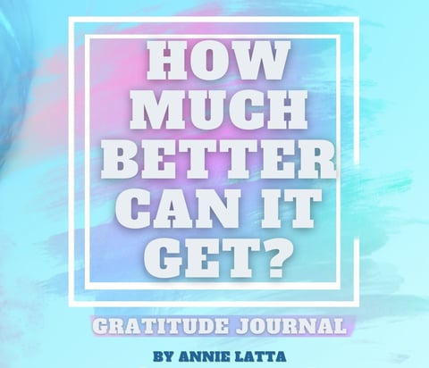 transformational 45 day gratitude journal