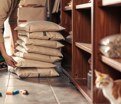 A person organizing budget-friendly cat food bags in a pantry