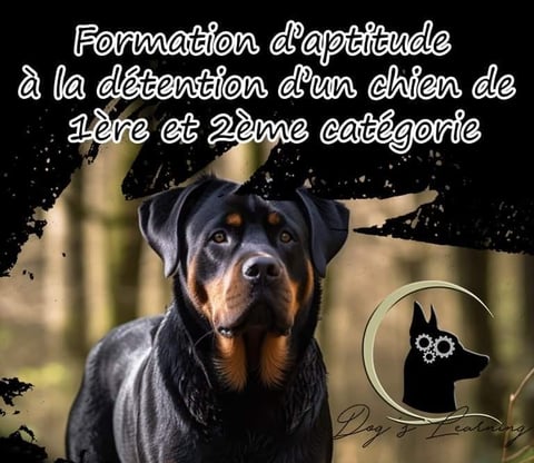 Formation chien catégorisé calvados