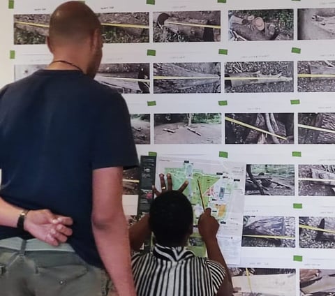 a man and a woman are standing in front of a wall with pictures of fallen trees