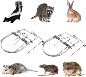 snares for small animals