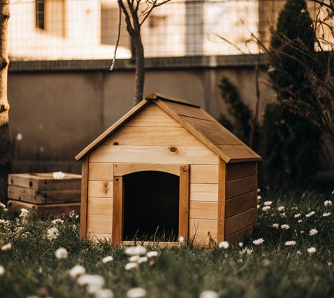A well-built wooden feral cat shelter placed on a raised platform for insulation