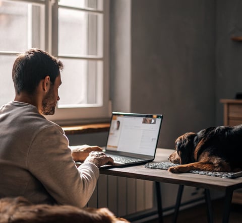 A person researching low-cost vet services online
