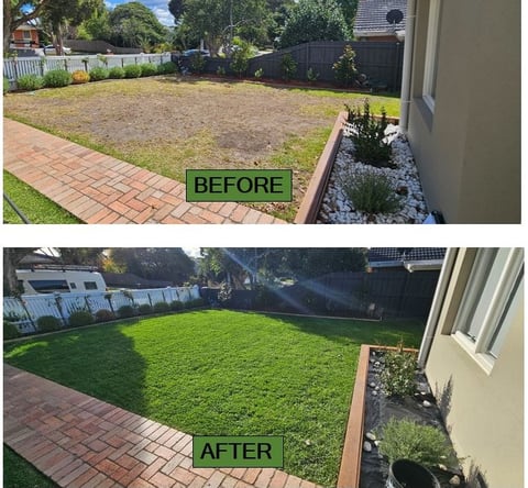 Garden renovation, Landscaping completely newly laid buffalo lawn before & after