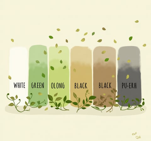 a row of four different colored bottles of white, green, and black