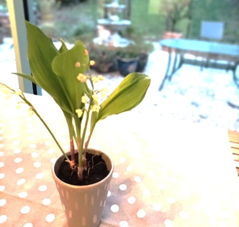 A Gift from a friend
