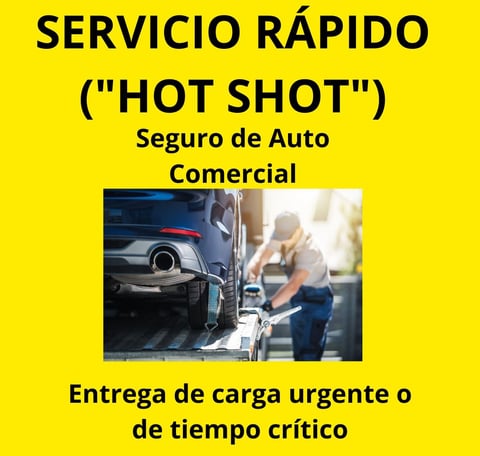 seguro de Auto commercial Del Toro Insurance