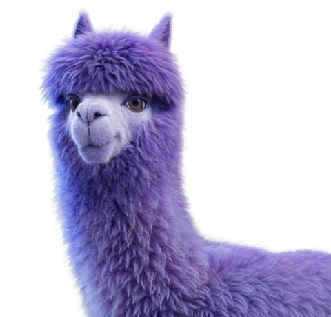 Violet Llama