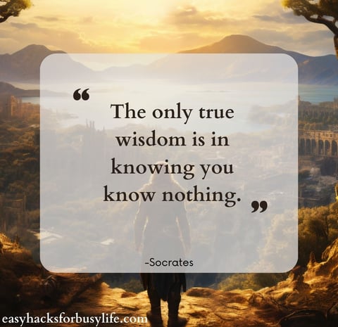 quote from Socrates about Wisdom and Reflection