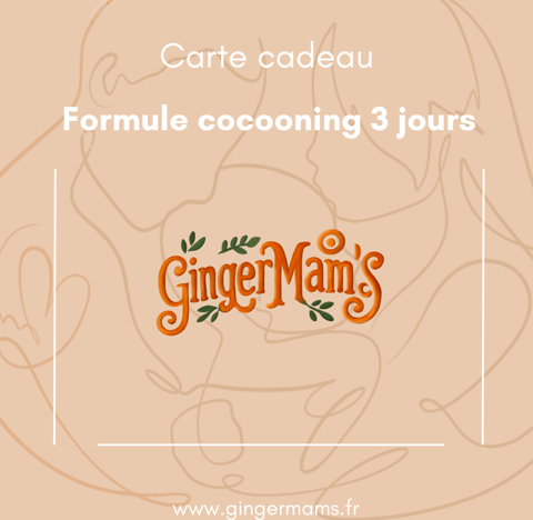 Carte cadeau disponible pour offrir les services de traiteur post partum GingerMam's