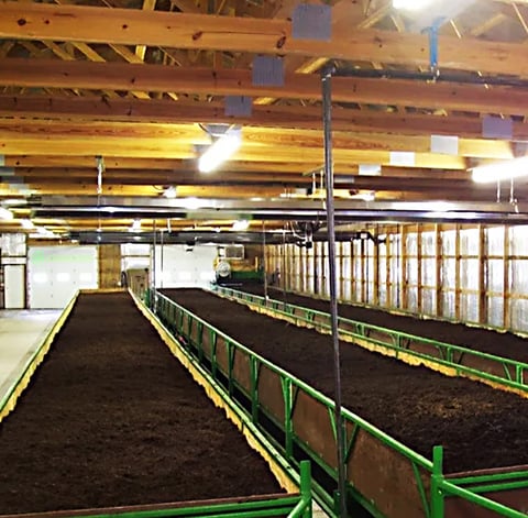 elaboración humus de lombriz en nave lombricor