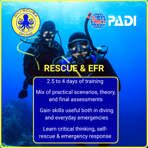 PADI Rescue Diver and EFR course at Gili Scuba Diving: 2.5 to 4 days of training, including theory, pool, and open water
