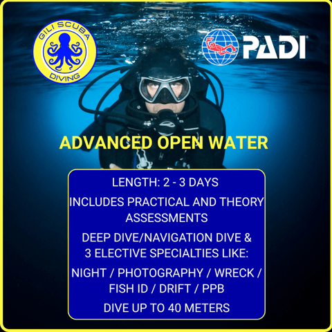PADI Advanced Open Water certification in Gili Trawangan: choose from Deep, Navigation, Night, Photography, Wreck, Fish ID.