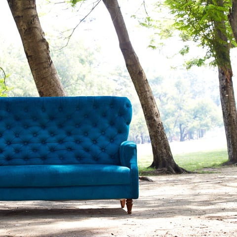 blue couch with trees