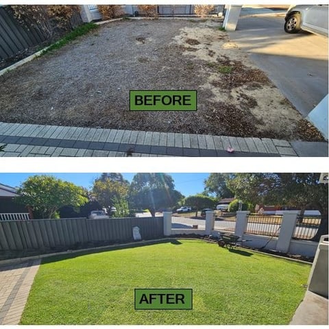 Landscaping completely newly laid kikuyu lawn before & after