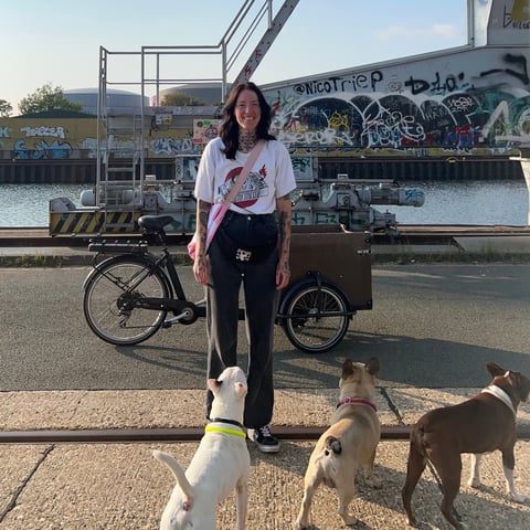 Jessi von Riotdog mit 3 Hunden am Lindener Hafen