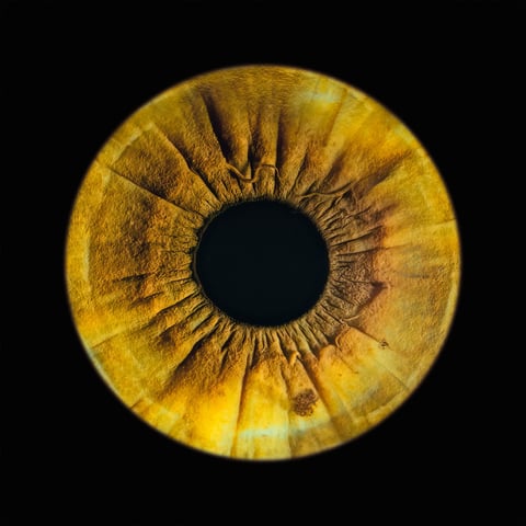 a eye gallery