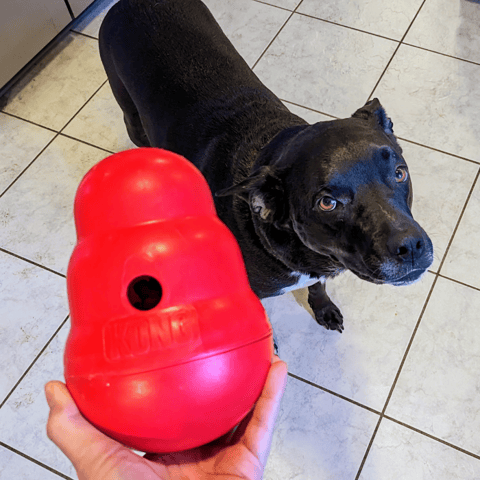 Kong Wobbler Treat Dispenser