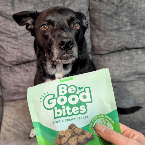 Dog_With_Open_Farm_Dog_Treats