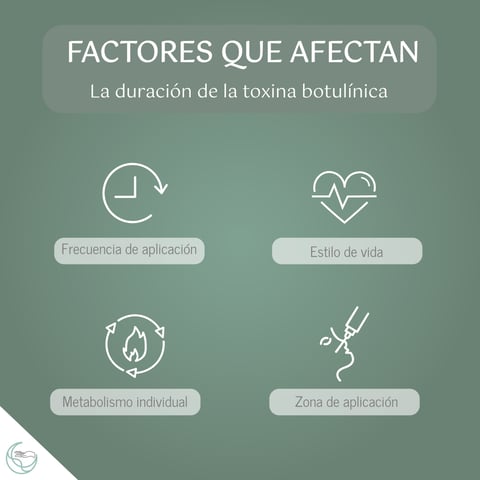 Factores que afectan la duración de la toxina botulínica: metabolismo, zona, frecuencia y estilo de vida