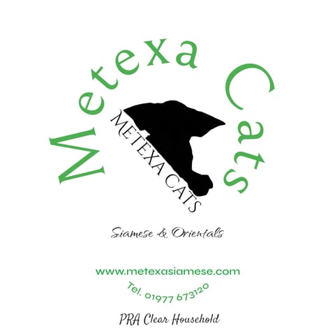 Metexa Siamese & Oriental Website banner
