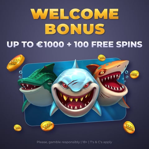 bonus casino vavada