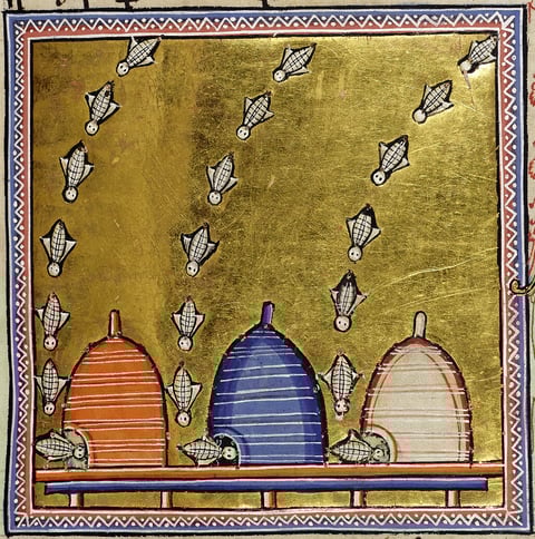Bees in the Aberdeen Bestiary, f. 63r.