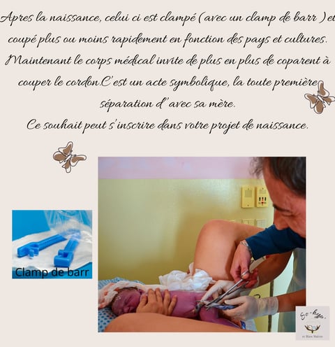 le cordon ombilical