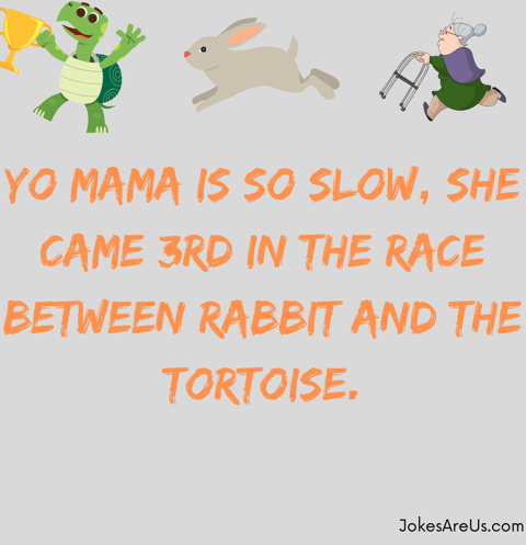 Yo mama is so slow, she came 3rd in the race between rabbit and the tortoise. Yo mama jokes