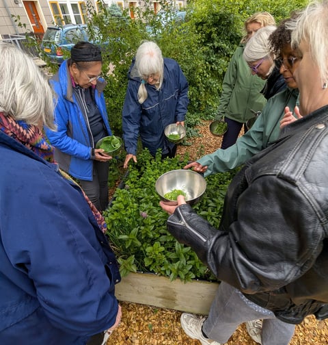 garden activity
