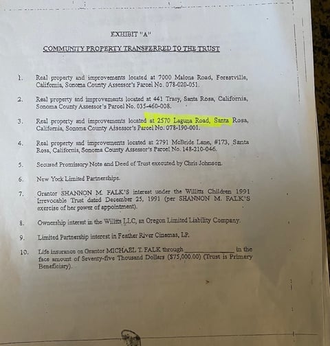 When Shannon Falk Goes to the F.B.I. Bill Willitts commits fraud