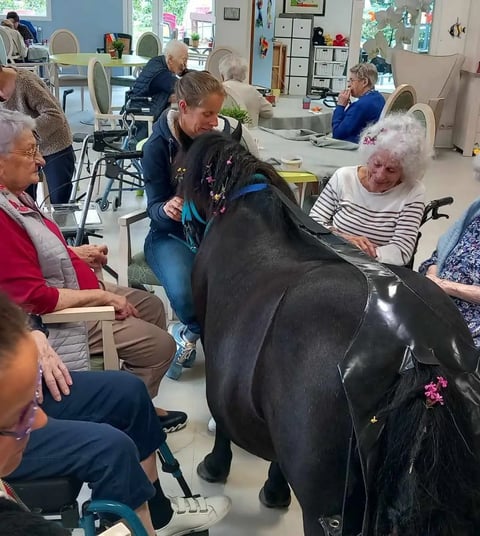 Groupe de personnes âgées dans un ephad autour d'un cheval noir