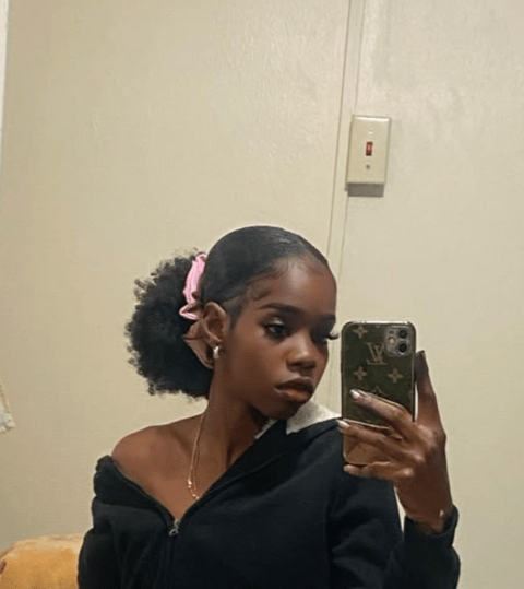 low natural hair ponytail