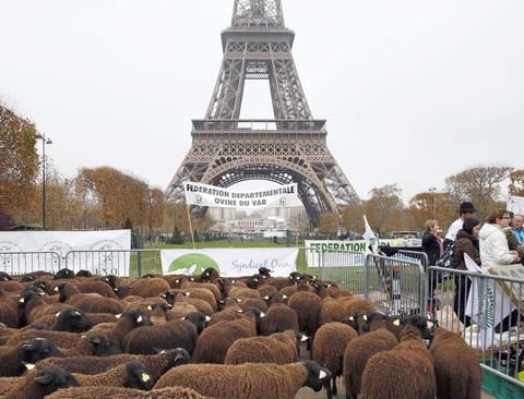 An anti wolf protest in Paris