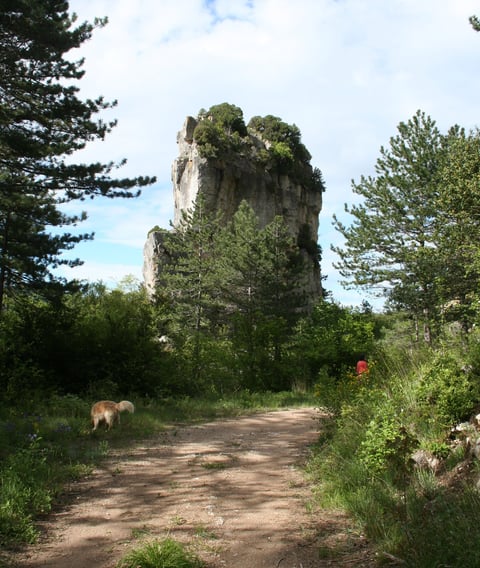 Walking past the 'Roc d' Eglise. with Simba  our dog.