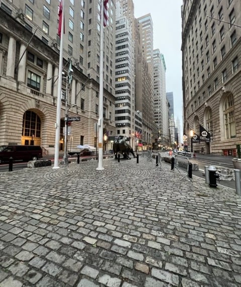 Charging Bull Wall Street New York 